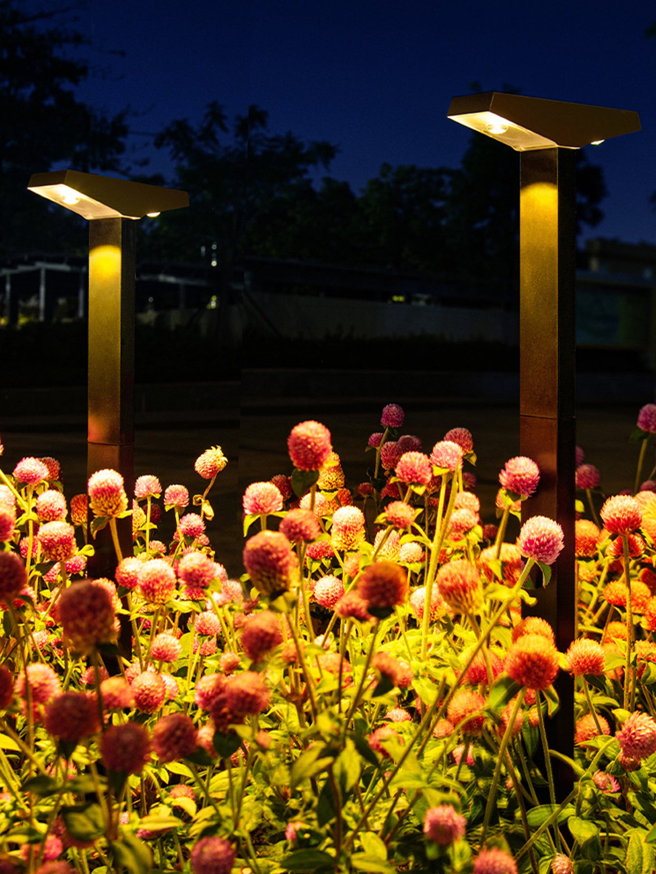 Solar Garden Lights