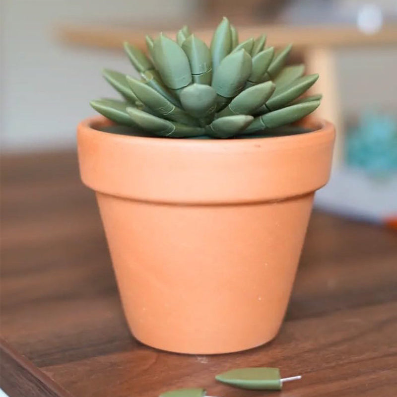 Succulent simulation potted