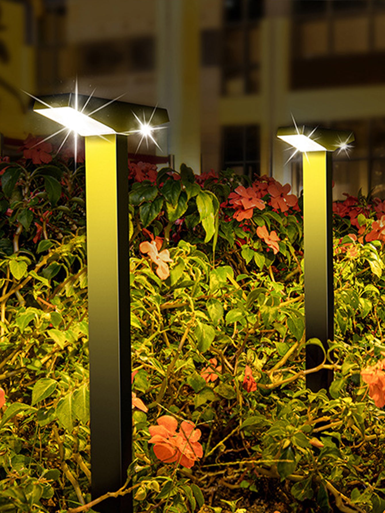 Solar Garden Lights