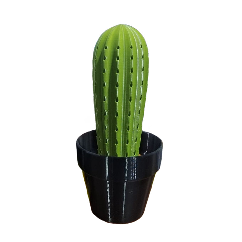 Cactus simulation potted plant toothpick box