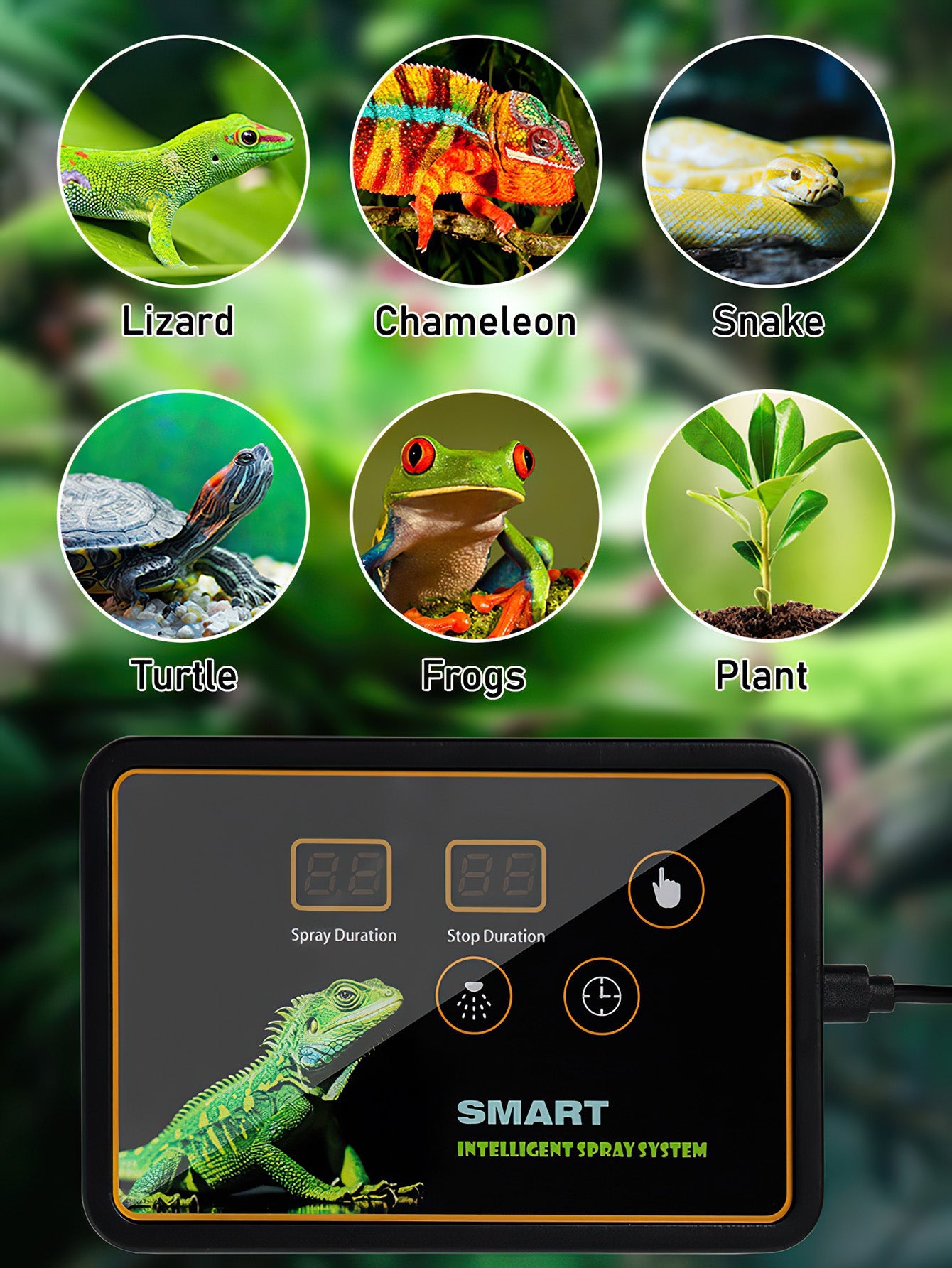 Rainforest Terrarium Automatic Mist System