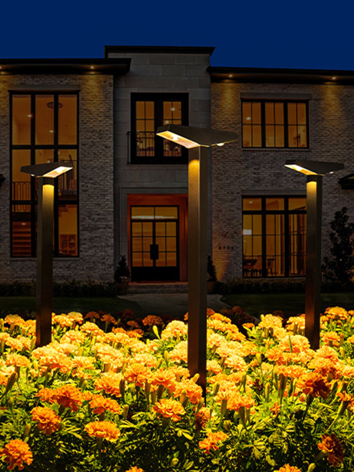 Solar Garden Lights