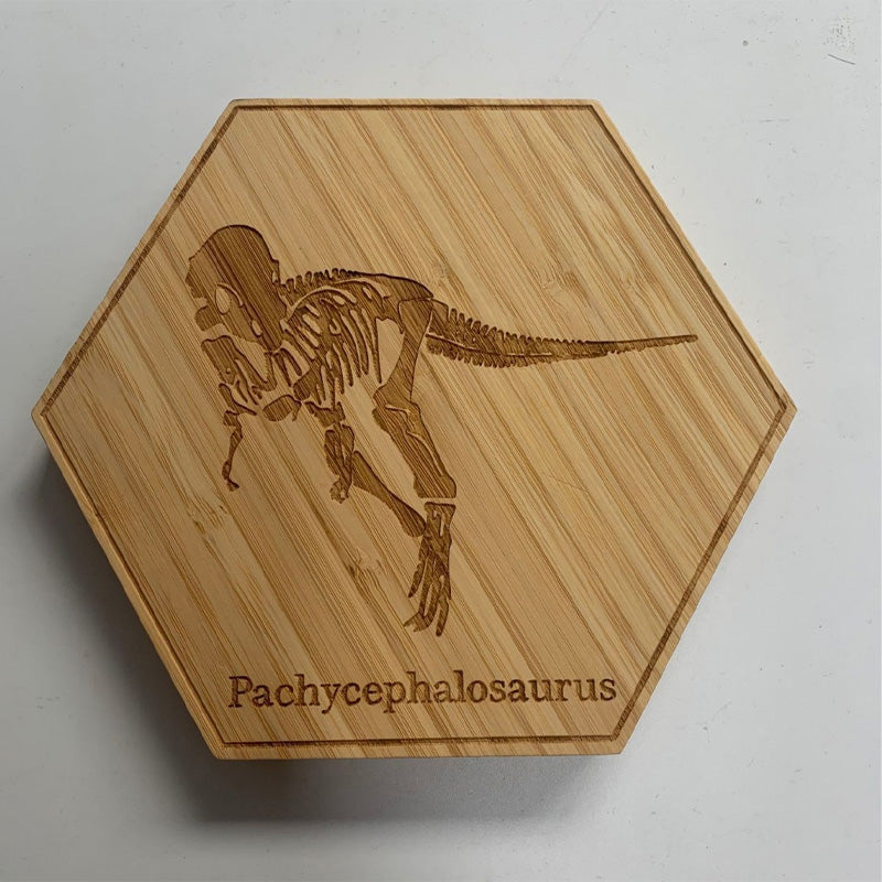 Dinosaur fossil wooden decorative ornaments