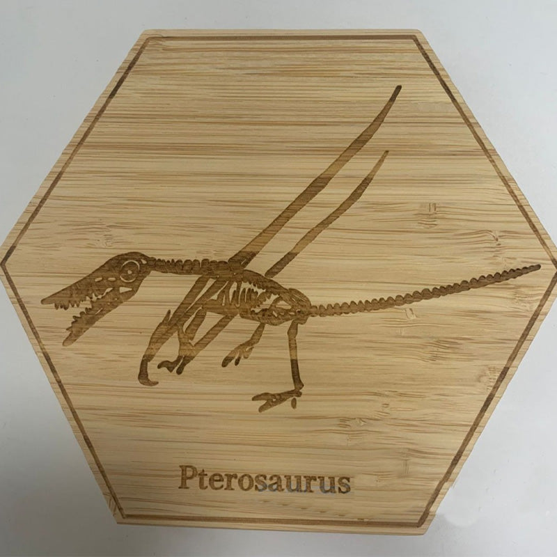 Dinosaur fossil wooden decorative ornaments