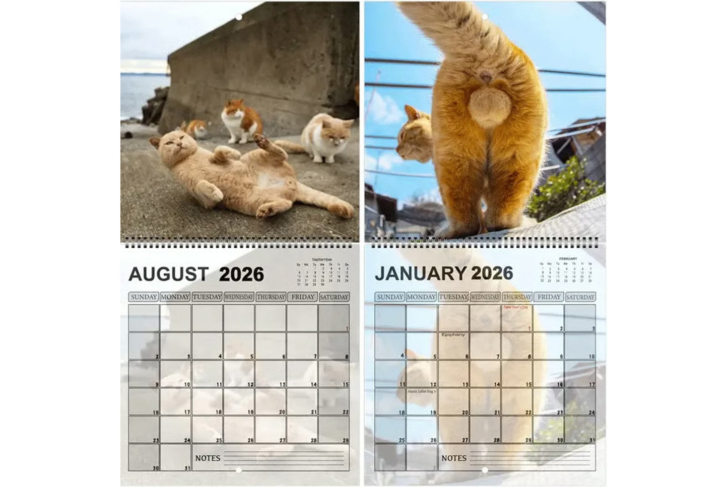 **2026 Cat Ball Calendar | Fun Countdown Calendar**