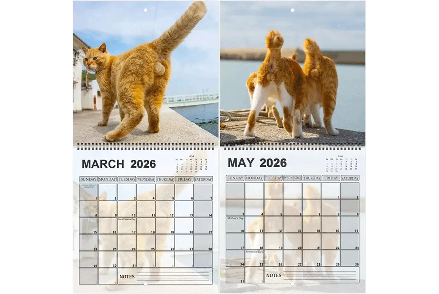 **2026 Cat Ball Calendar | Fun Countdown Calendar**