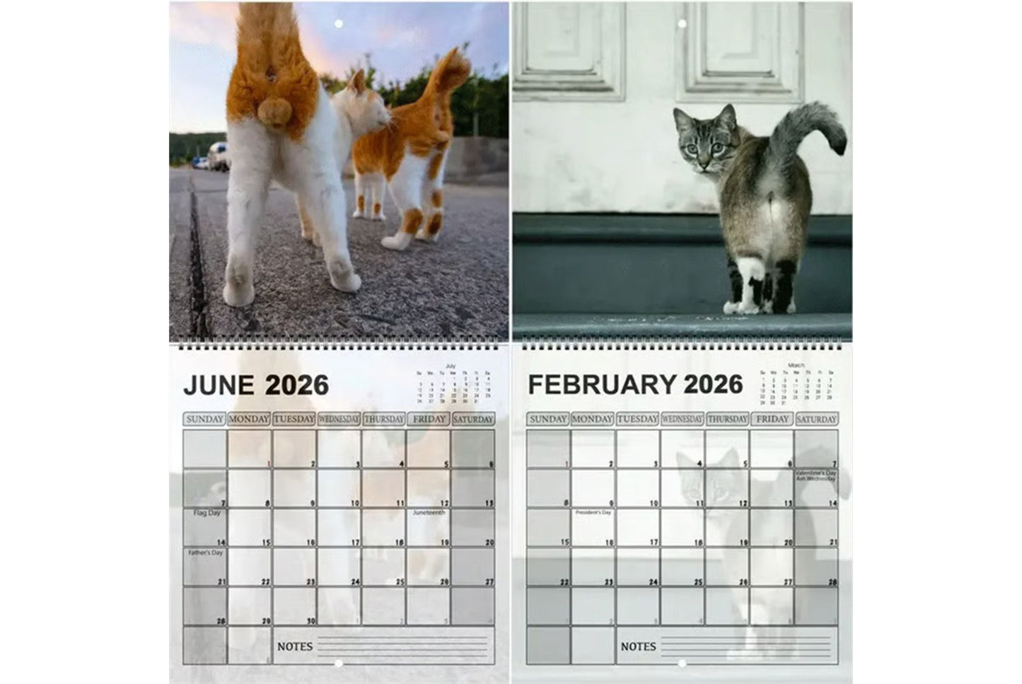 **2026 Cat Ball Calendar | Fun Countdown Calendar**