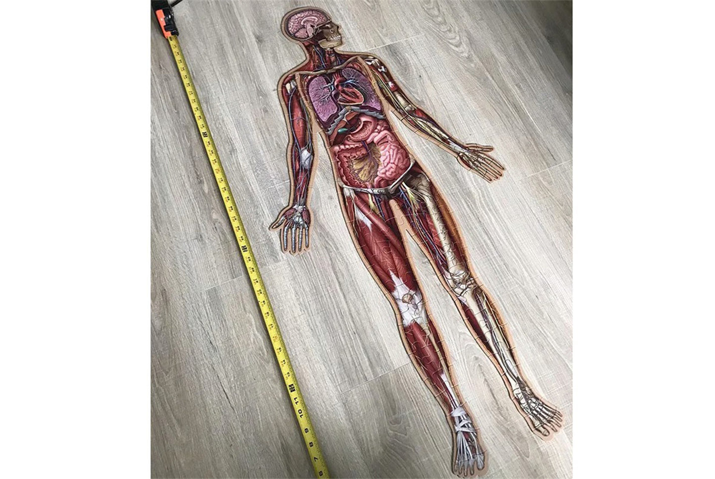 **100 Piece Human Body Floor Puzzle**
