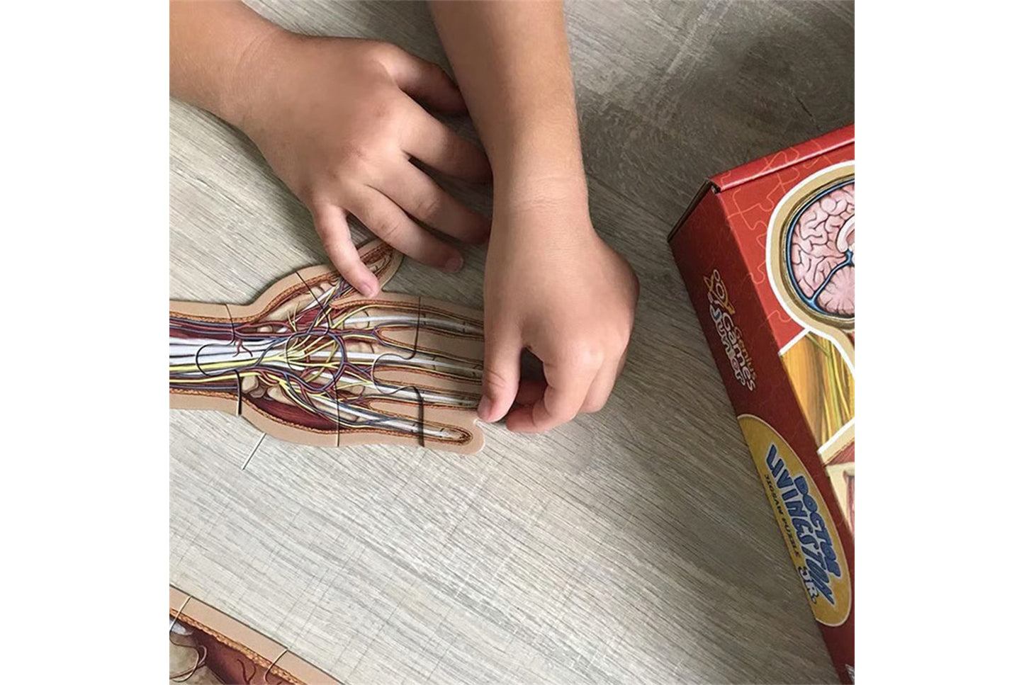 **100 Piece Human Body Floor Puzzle**