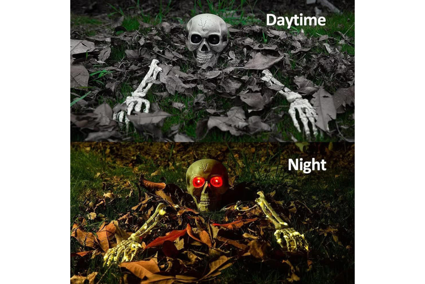 Halloween LED Light-Up Skull Set of Three