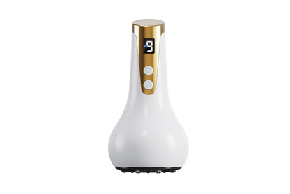 Universal Electric Meridian Brush Massager