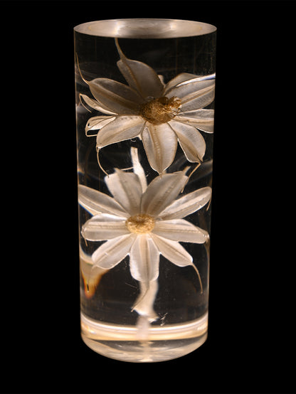 New Eternal Flower Acrylic Desk Lamp