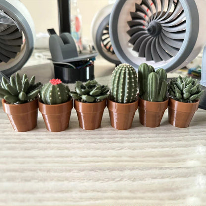 Decompression potted set