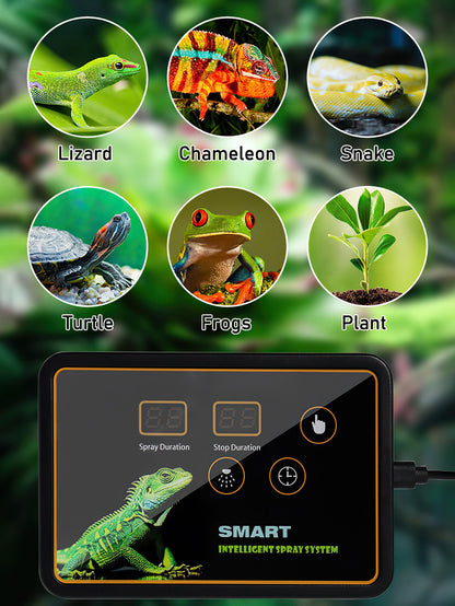 Rainforest Terrarium Automatic Mist System