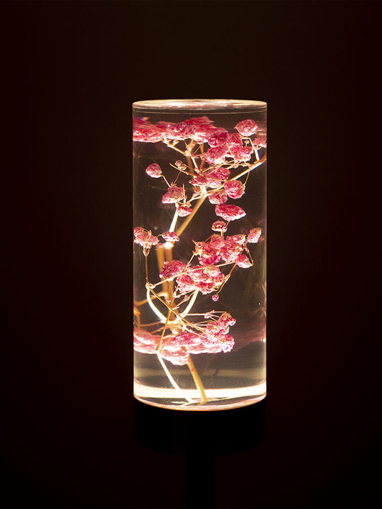 New Eternal Flower Acrylic Desk Lamp