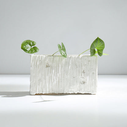 Simple plain fired hydroponic white porcelain flower pot