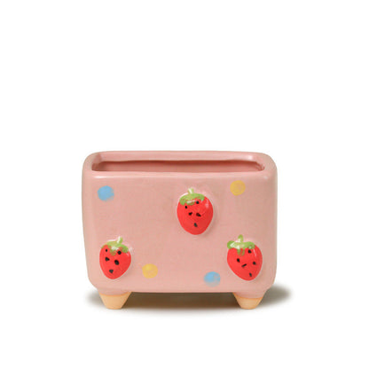 Pastoral fresh painted relief fruit succulent ceramic flower pots