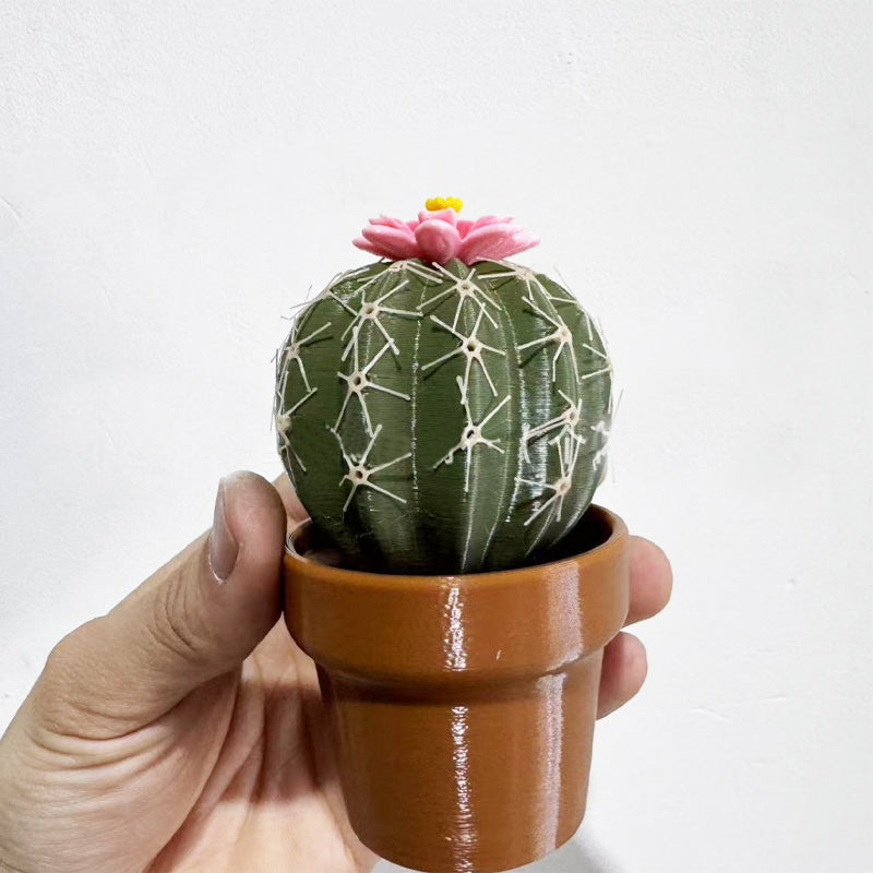 Cactus seasoning bottle