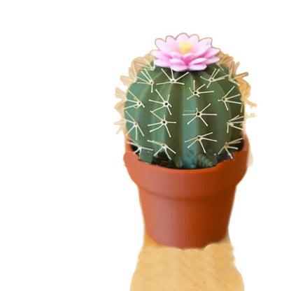 Cactus seasoning bottle