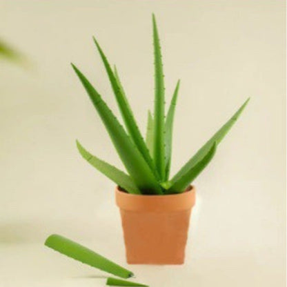 Aloe vera simulation potted plant