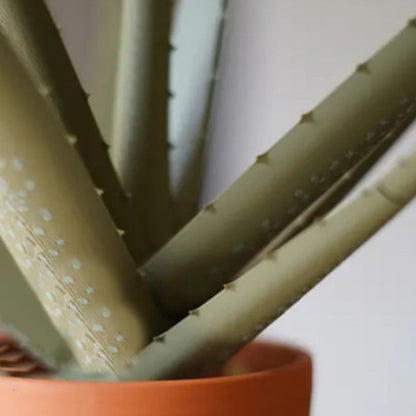 Aloe vera simulation potted plant