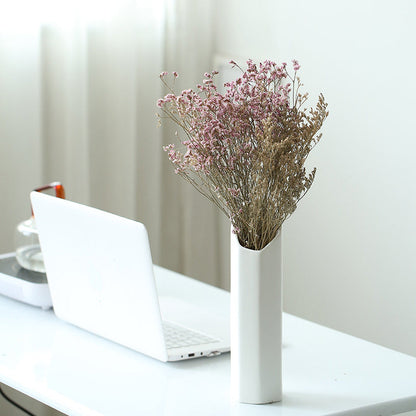 Simple Gypsophila Dry Flower Vase