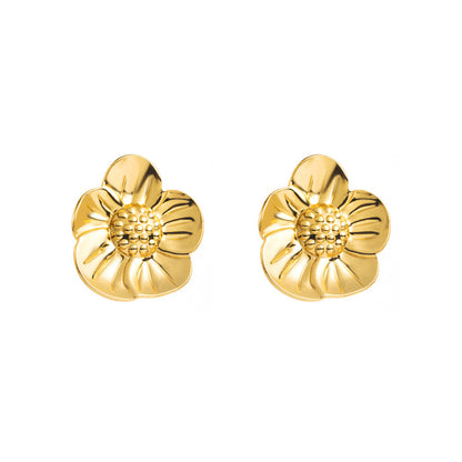 Fashionable and personalized stainless steel earrings