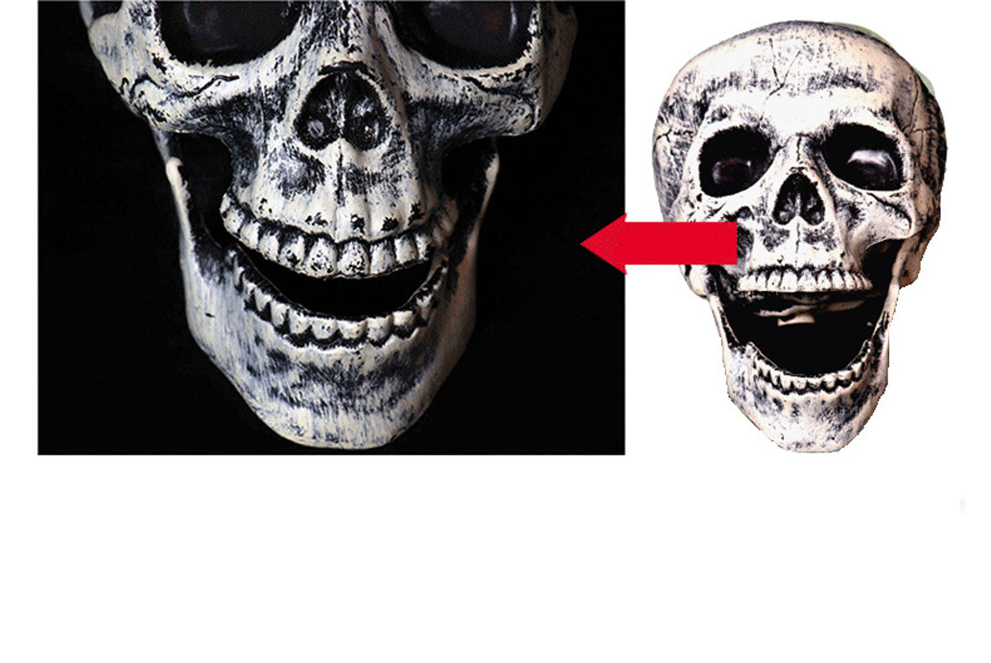 Halloween Skull Three-Piece Ground Socket Set
