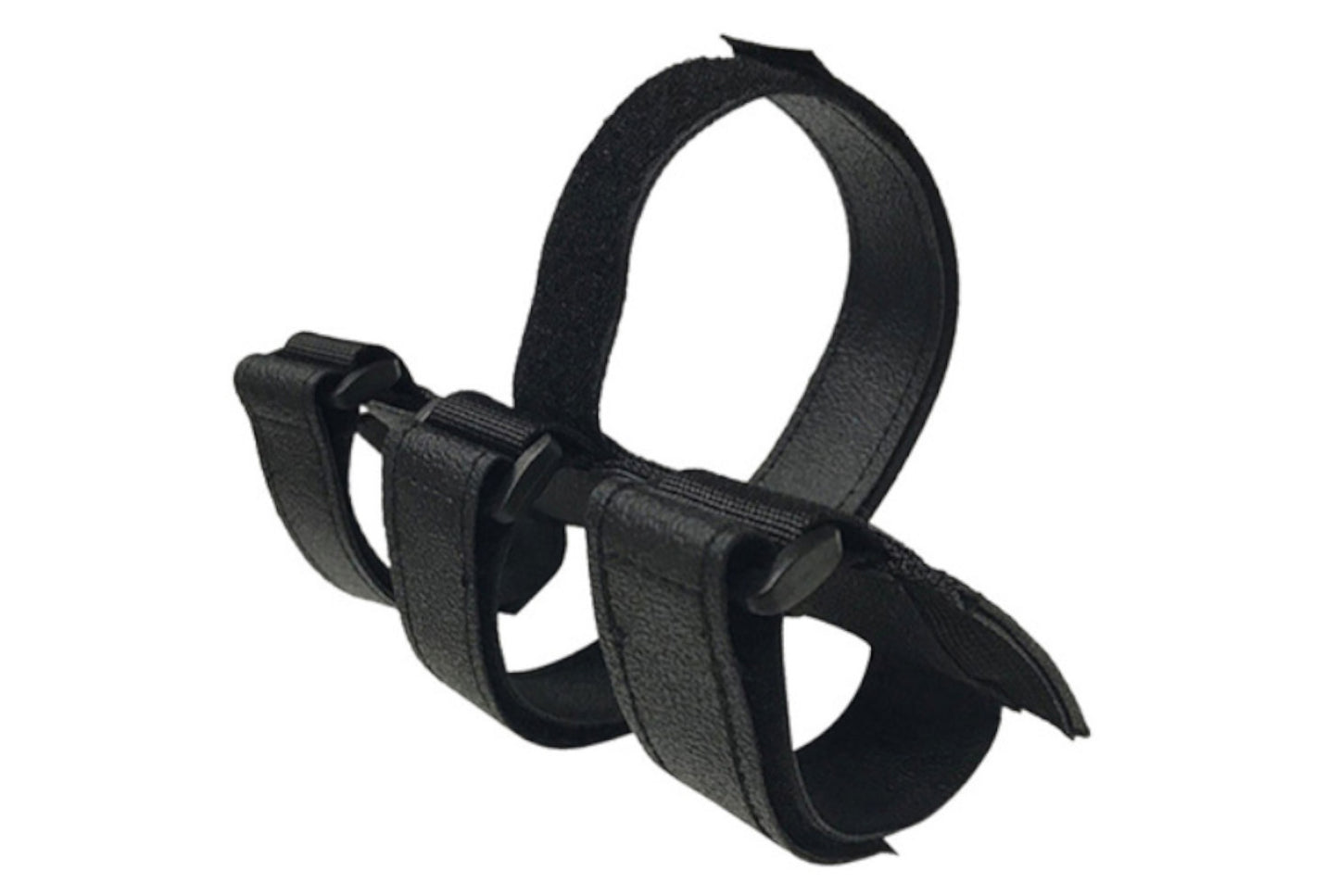 Multi-function audio strap