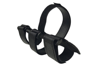 Multi-function audio strap