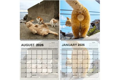 **2026 Cat Ball Calendar | Fun Countdown Calendar**