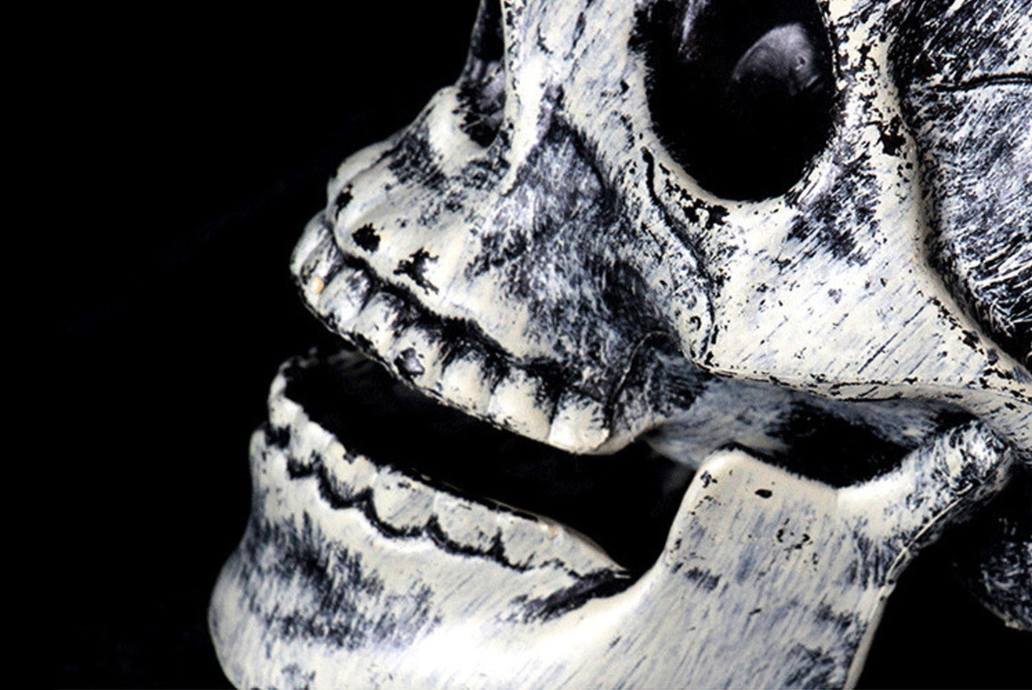 Halloween Skull Three-Piece Ground Socket Set
