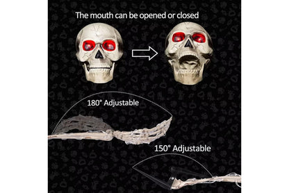 Halloween LED Light-Up Skull Set of Three
