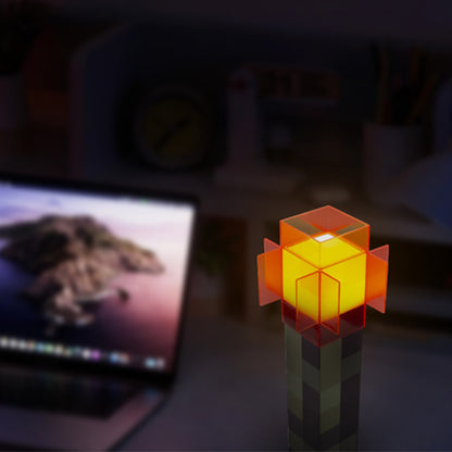 Torch lamp night light