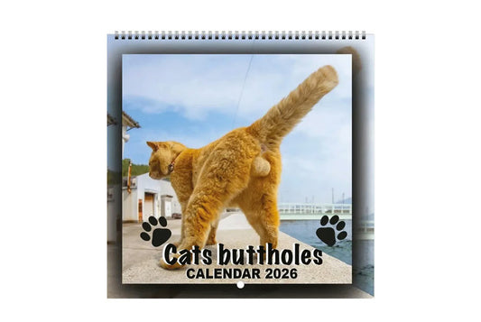 **2026 Cat Ball Calendar | Fun Countdown Calendar**