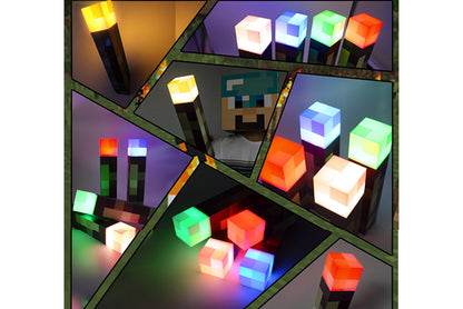 Torch Light