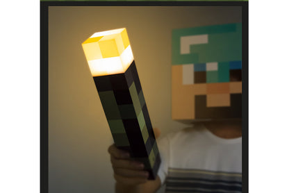 Torch Light