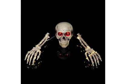 Halloween LED Light-Up Skull Set of Three
