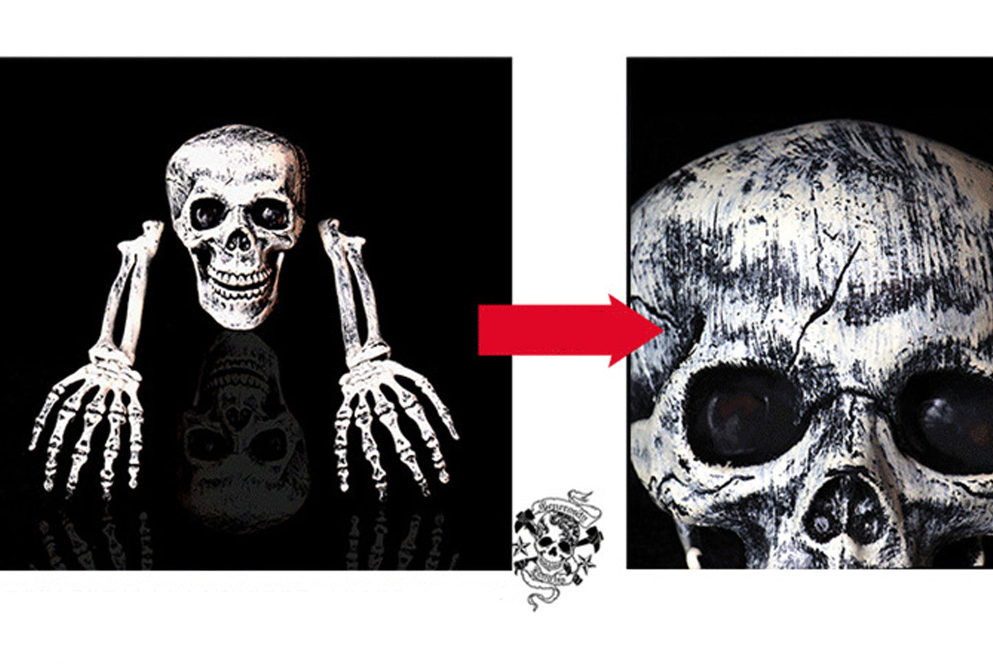Halloween Skull Three-Piece Ground Socket Set